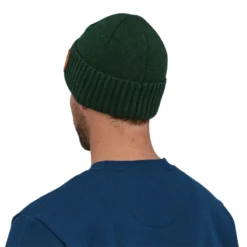 Patagonia Brodeo Beanie Clean Climb Patch Pinyon Green -Exporteren Hengel Max Winkel 29206 CCPI ALL 3