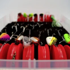 Rhino Bait Holder (3-pack) Medium -Exporteren Hengel Max Winkel 4285023r 4