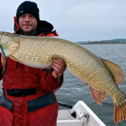 Westin Platypus 19 Cm - Sjunkande -Exporteren Hengel Max Winkel WS17112r 3